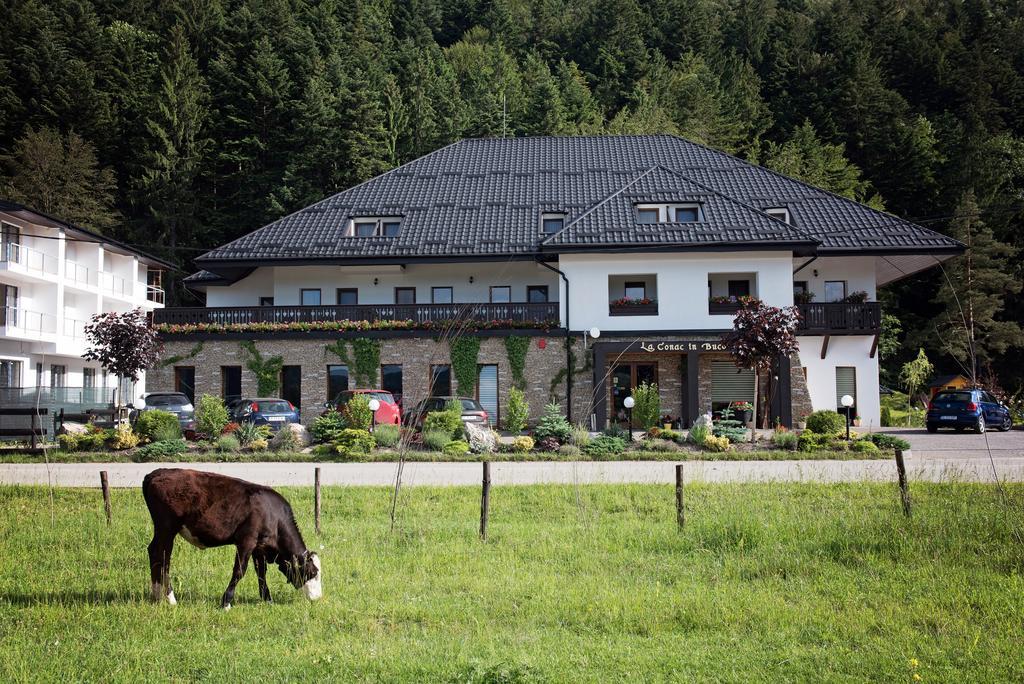 فندق جورا هومورولويفي  La Conac In Bucovina المظهر الخارجي الصورة